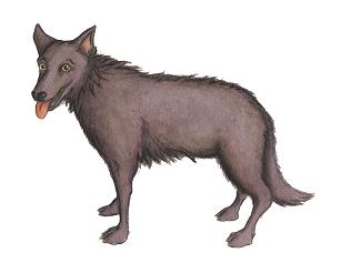 Baldur (Hund)