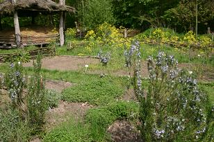 Kräutergarten am Sachsenhof