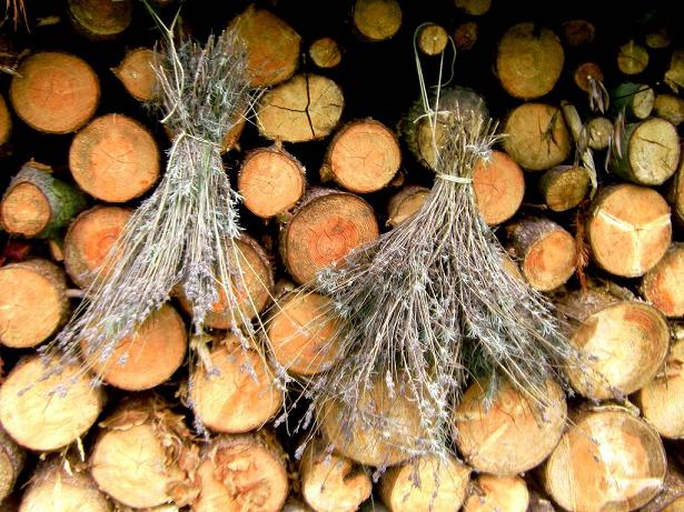 Getrockneter Lavendel